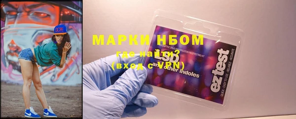 apvp Алзамай