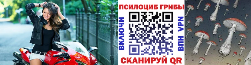 mega ССЫЛКА  Сосновка  Псилоцибиновые грибы Cubensis 